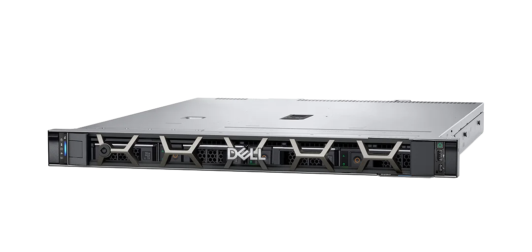 Dell PowerEdge R250 1U